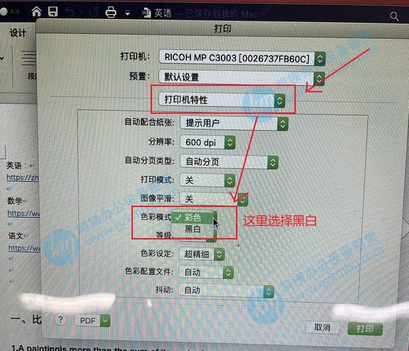 蘋果電腦如何默認理光打印機黑白單面打印，蘋果電腦如何默認打印設置，廣州復印機租賃，廣州打印機出租，廣州柯鎂，點打印機特性